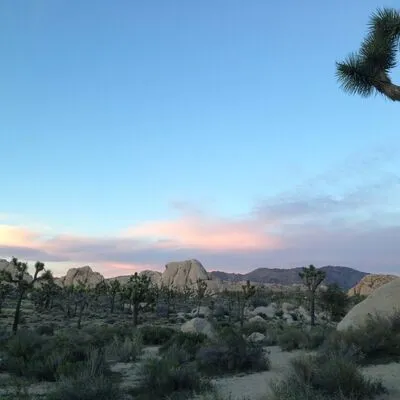 Joshua Tree, CA (Hidden Valley)